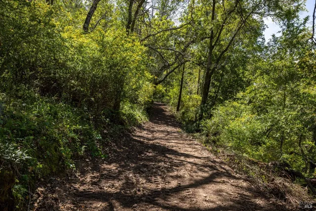 $299,000 | 141 Granlee Road, San Rafael, CA 94903