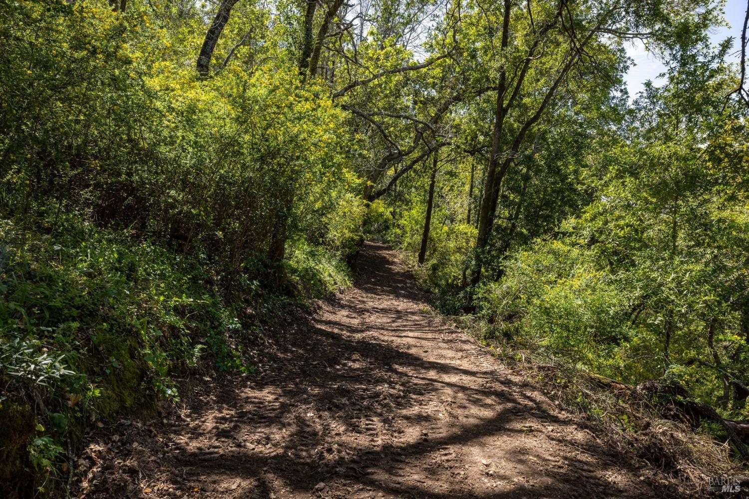 141 Granlee Road San Rafael, CA 94903 - Photo 5 of 17