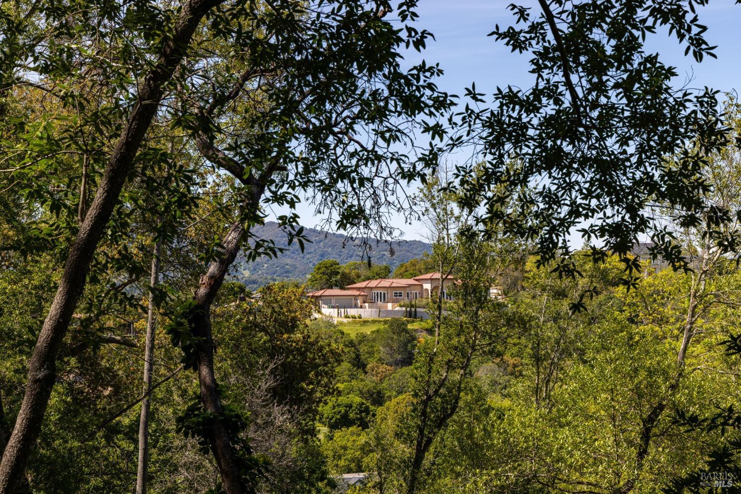 141 Granlee Road San Rafael, CA 94903 - Photo 7 of 17