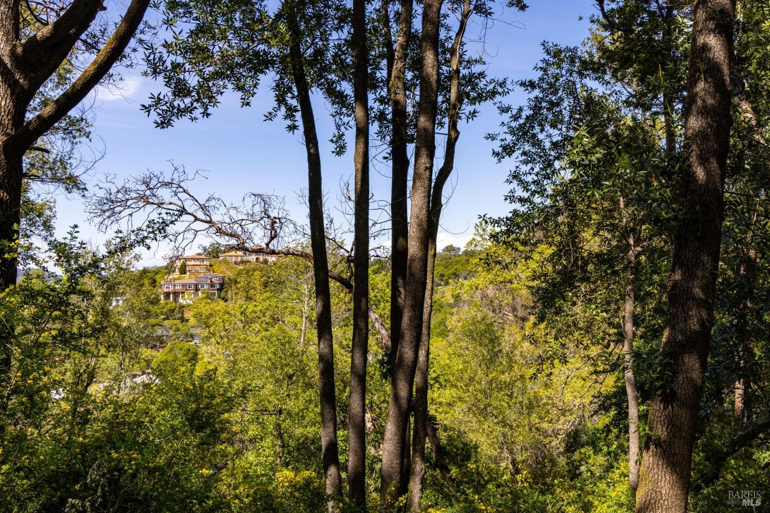 141 Granlee Road San Rafael, CA 94903 - Photo 8 of 17