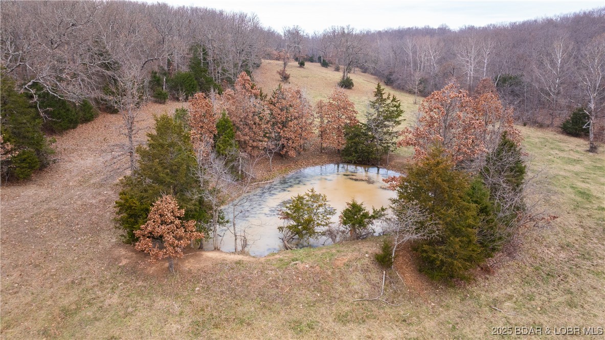 12765 Buckeye Road Crocker, MO 65452 - Photo 14 of 32