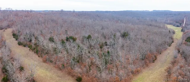 $1,375,000 | 12765 Buckeye Road, Crocker, MO 65452