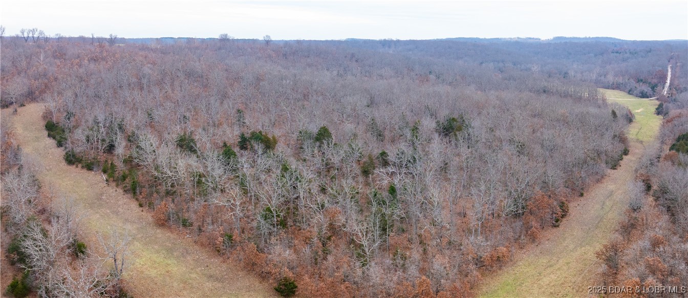 12765 Buckeye Road Crocker, MO 65452 - Photo 15 of 32