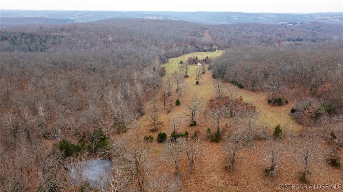 12765 Buckeye Road Crocker, MO 65452 - Photo 19 of 32