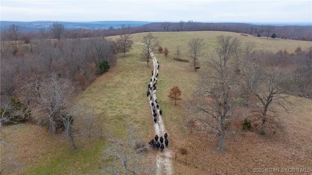 $1,375,000 | 12765 Buckeye Road, Crocker, MO 65452