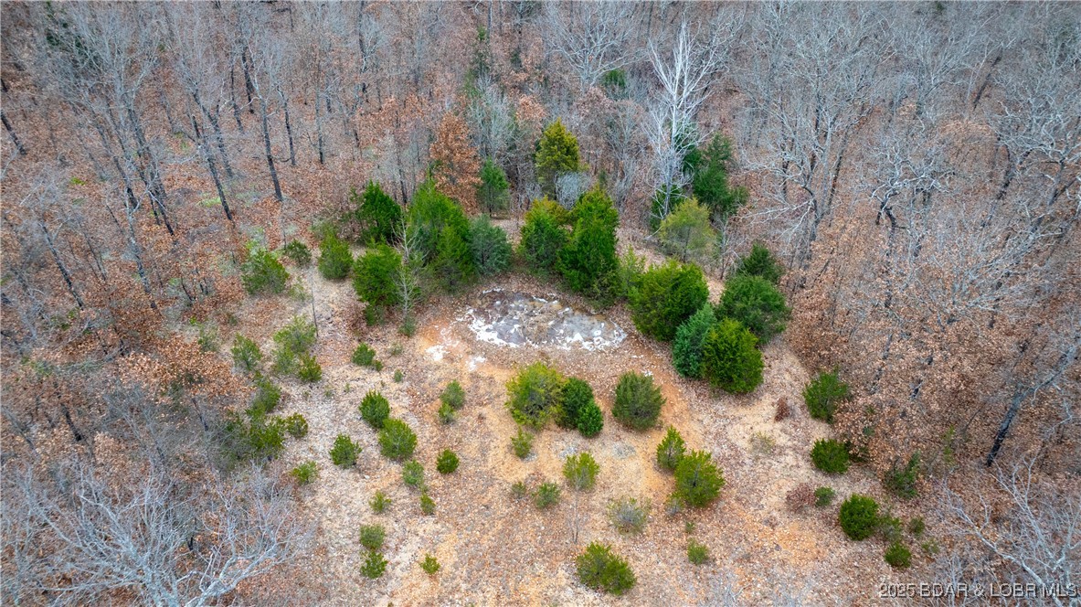 12765 Buckeye Road Crocker, MO 65452 - Photo 21 of 32