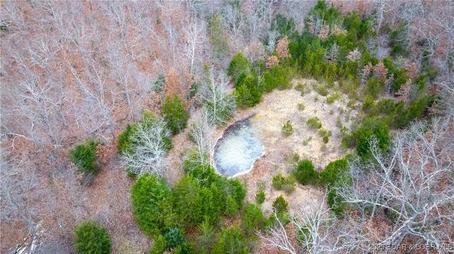 $1,375,000 | 12765 Buckeye Road, Crocker, MO 65452