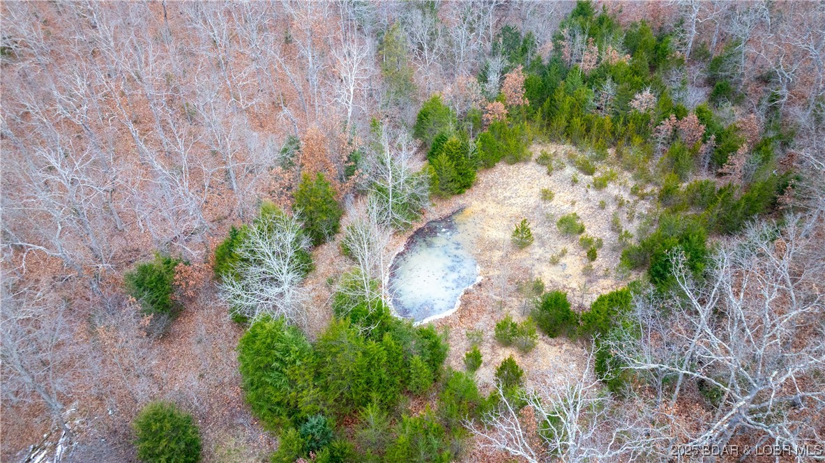 12765 Buckeye Road Crocker, MO 65452 - Photo 24 of 32