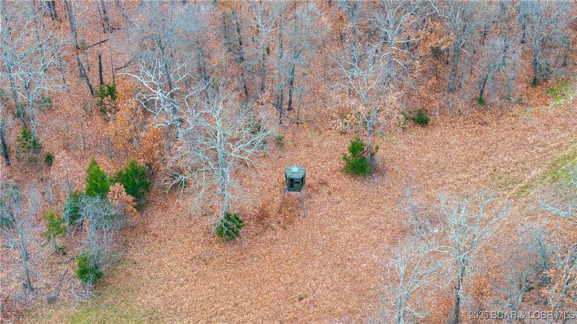 12765 Buckeye Road Crocker, MO 65452 - Photo 26 of 32