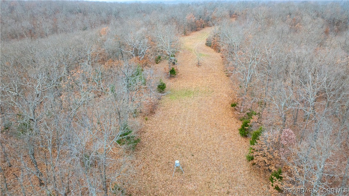 12765 Buckeye Road Crocker, MO 65452 - Photo 27 of 32