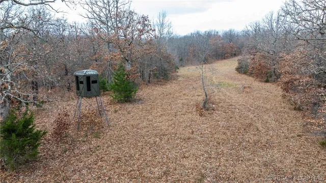 $1,375,000 | 12765 Buckeye Road, Crocker, MO 65452