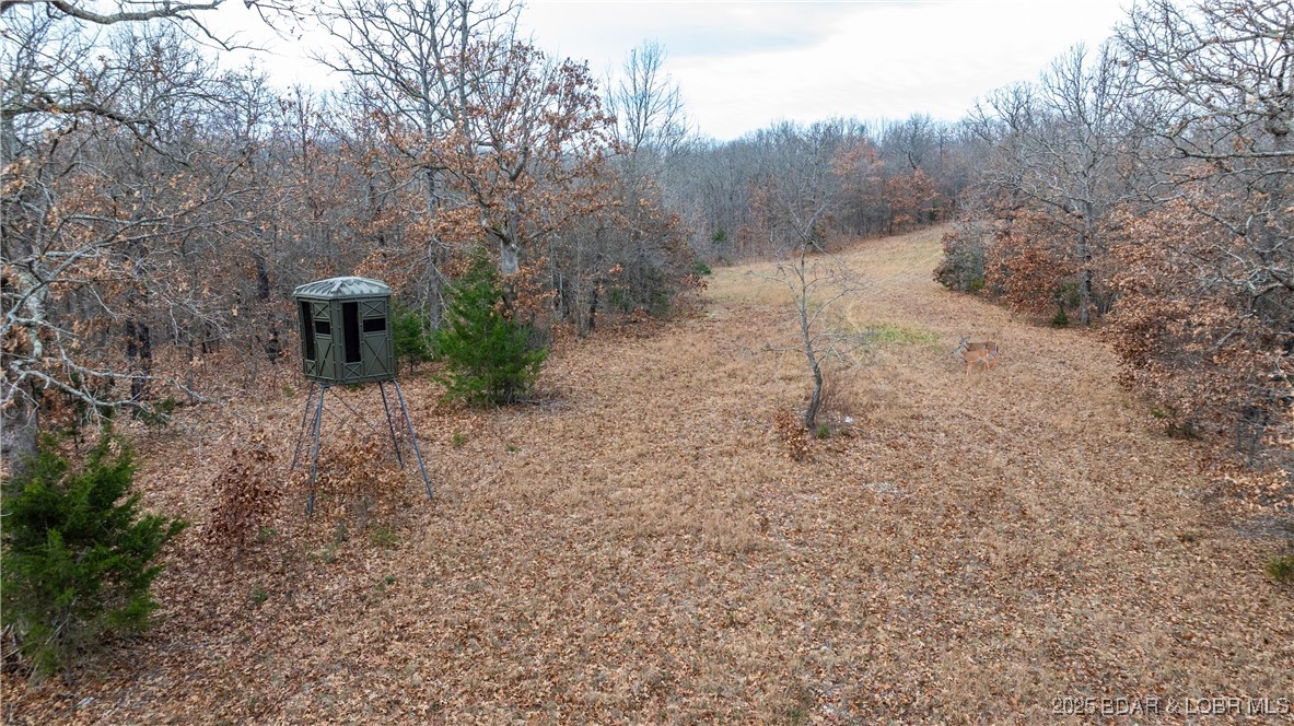 12765 Buckeye Road Crocker, MO 65452 - Photo 28 of 32