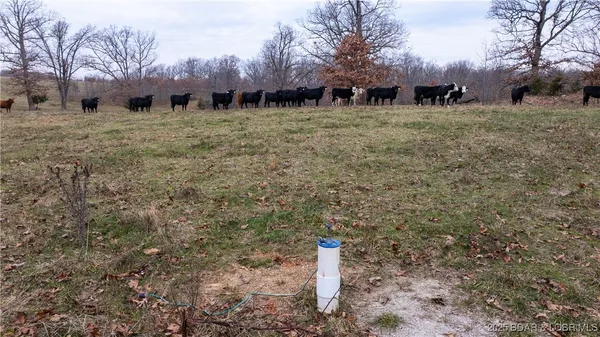 $1,375,000 | 12765 Buckeye Road, Crocker, MO 65452