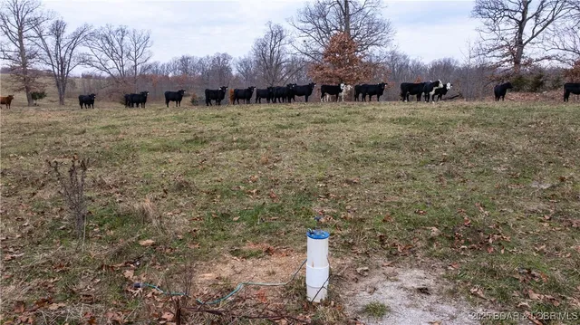 $1,375,000 | 12765 Buckeye Road, Crocker, MO 65452