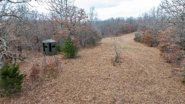 $1,375,000 | 12765 Buckeye Road, Crocker, MO 65452