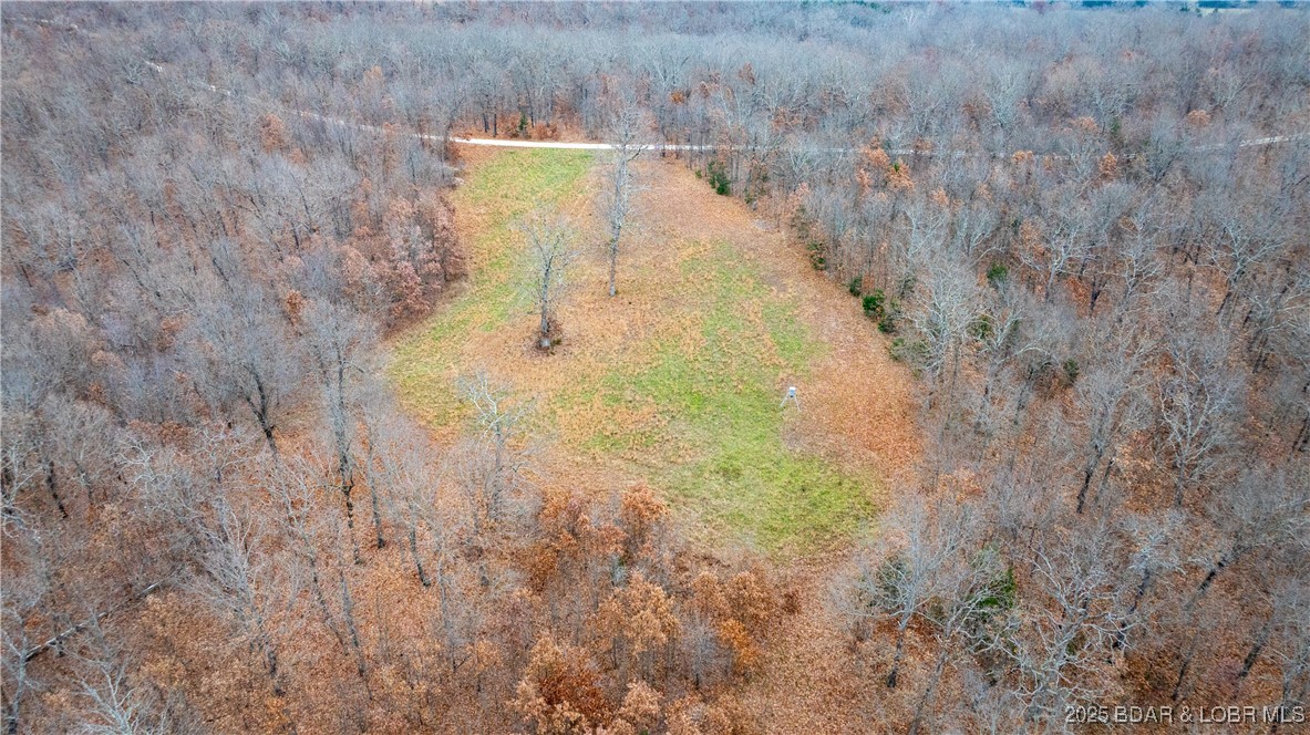 12765 Buckeye Road Crocker, MO 65452 - Photo 9 of 32