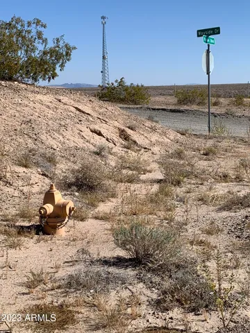 a view of outdoor space and yard