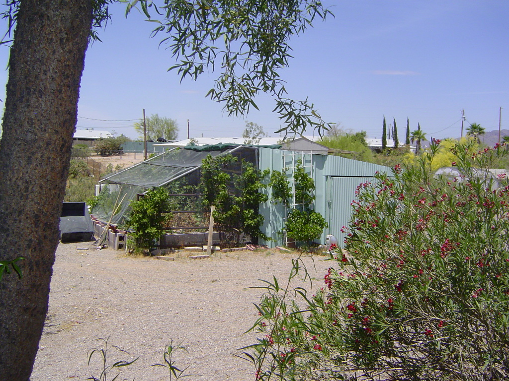 108 North Tomahawk Road Apache Junction, AZ 85119 - Photo 5 of 9 a view of a garden with a building in the background