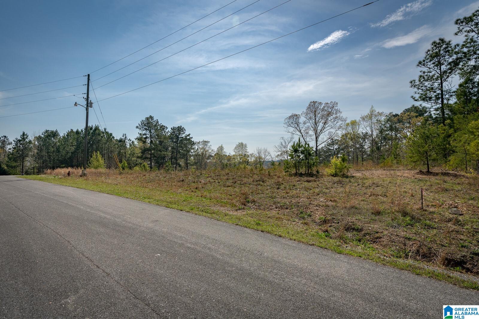 Stillwaters Trail, Unit 180 Sylacauga, AL 35151 - Photo 6 of 30