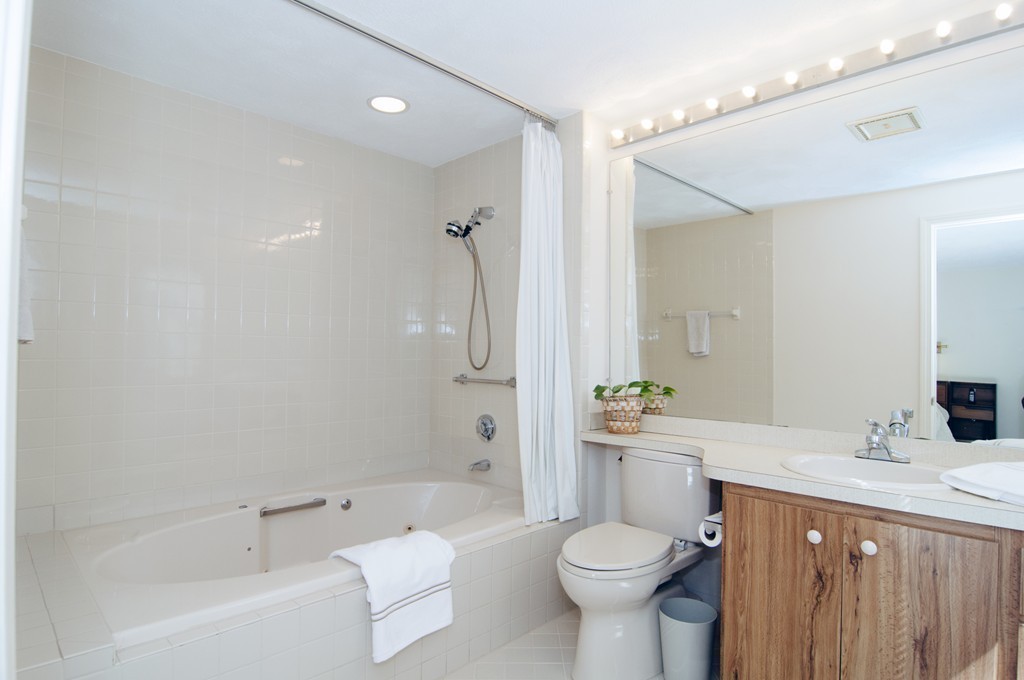 9 Potter Pond, Unit 9 Lexington, MA 02421 - Photo 18 of 24 Gallery Image 18
