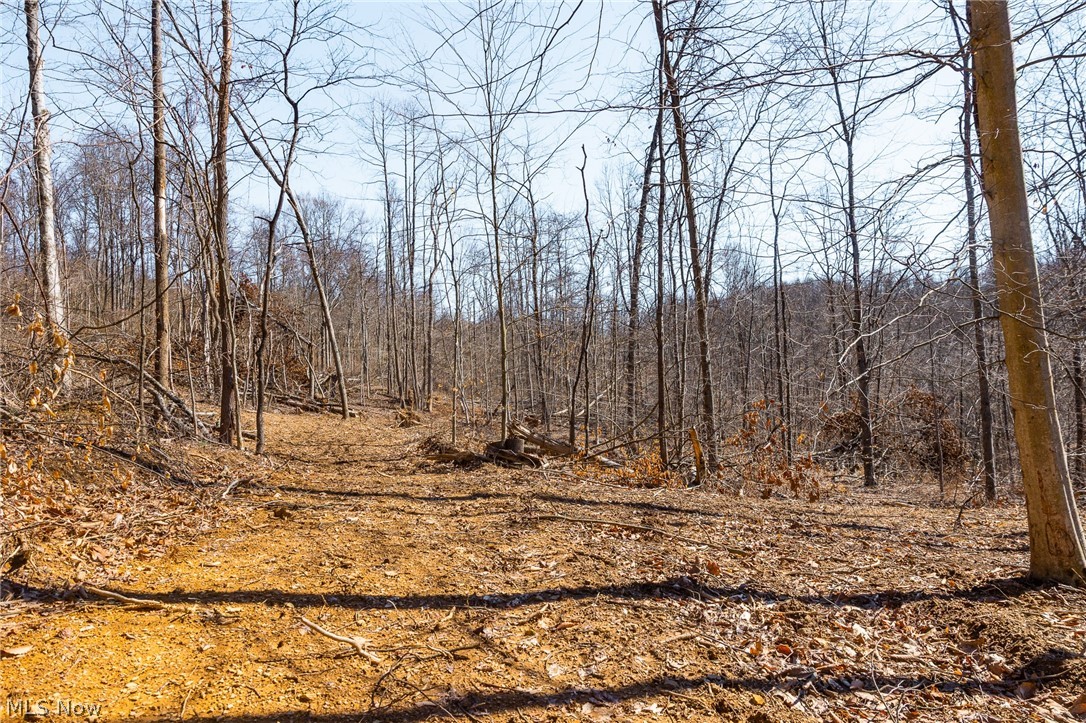 Sheepskin Ridge Road Lower Salem, OH 45745 - Photo 29 of 50 View of undeveloped land