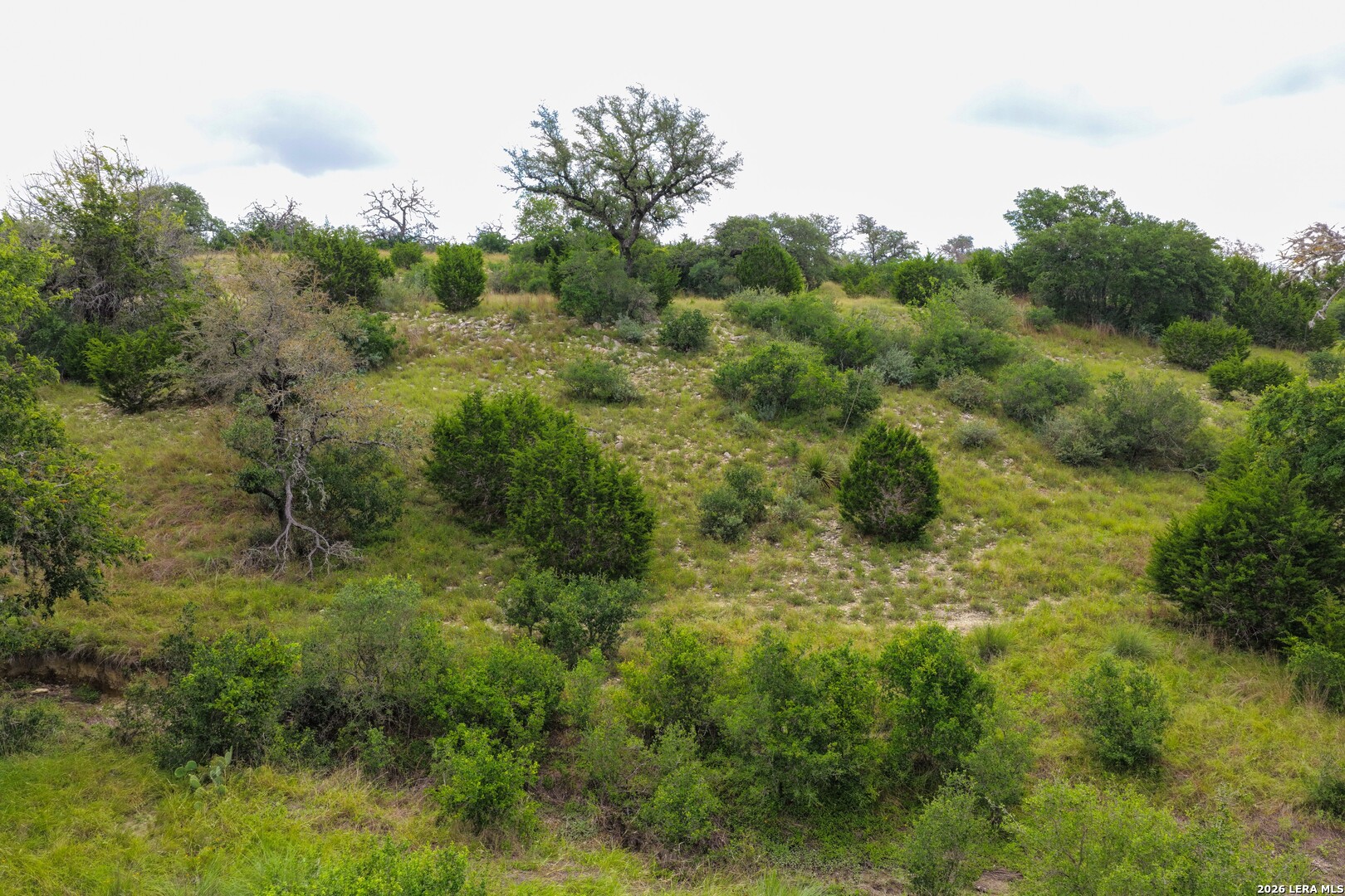 30 Acres /- Peaceful Valley Road Bandera, TX 78003 - Photo 17 of 32