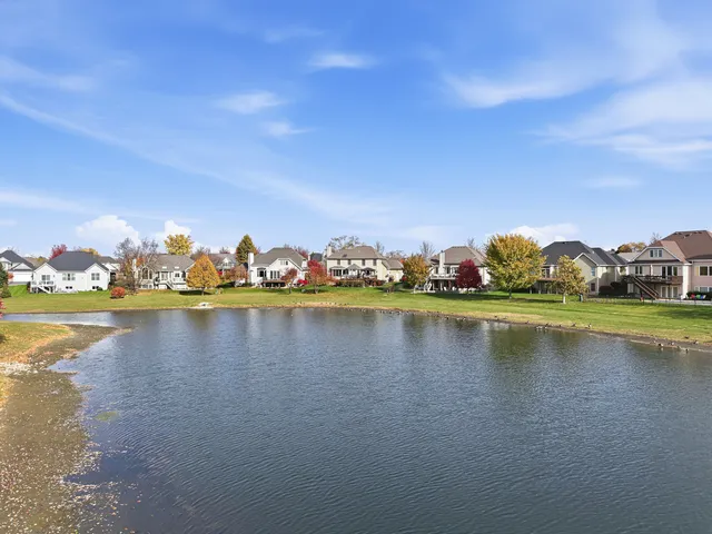 a view of a trees with a yard