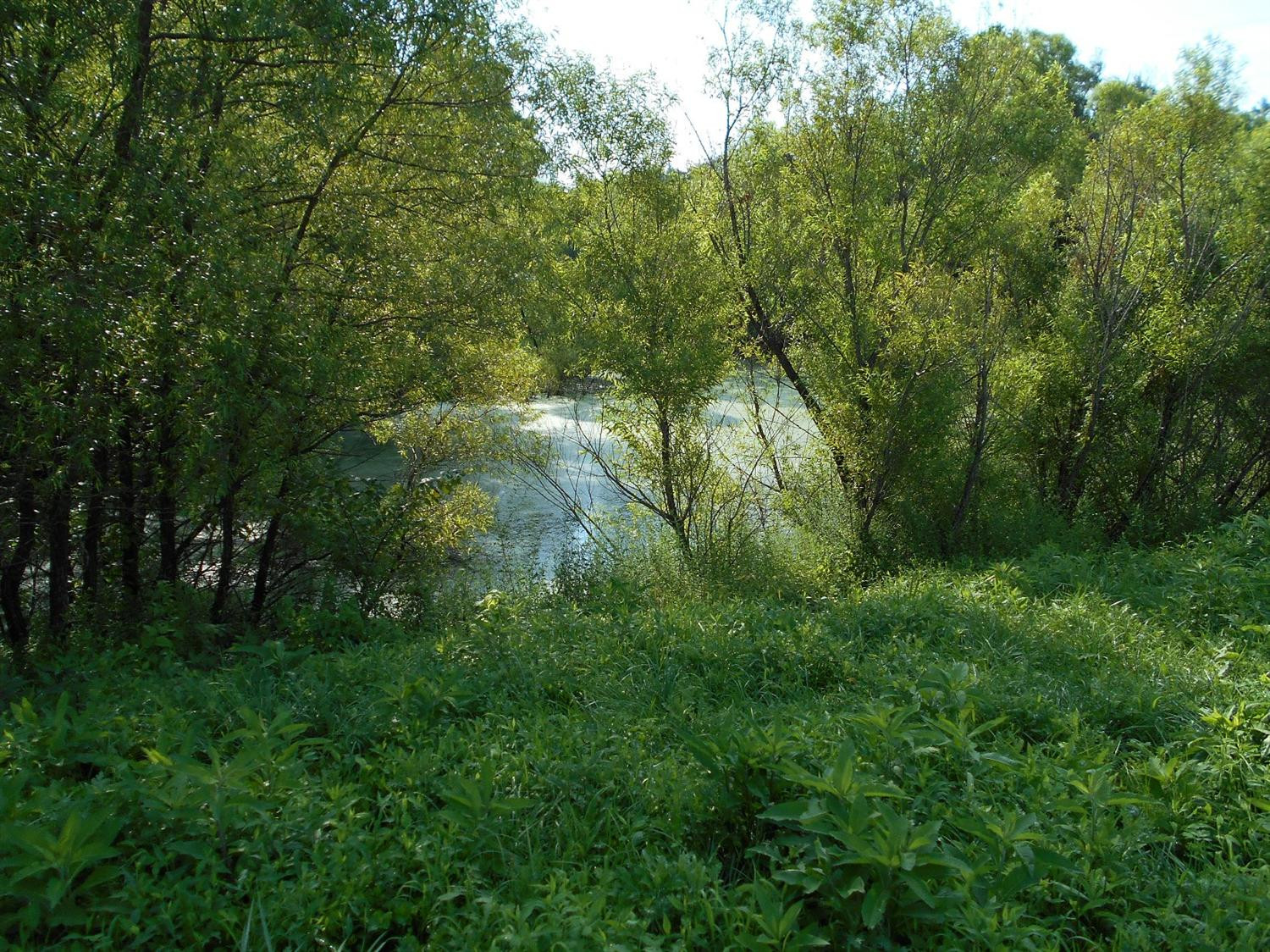 980 Hedges Station Road Winchester, KY 40391 - Photo 2 of 7 Photo 2