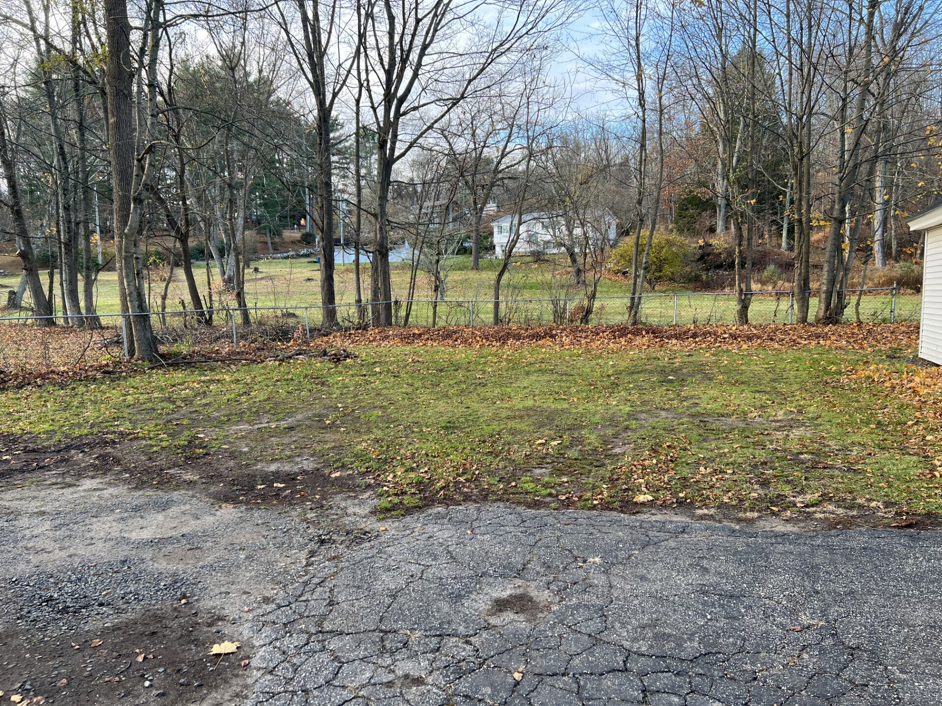435 Windham Road Windham, CT 06226 - Photo 19 of 20 a view of a yard with a tree