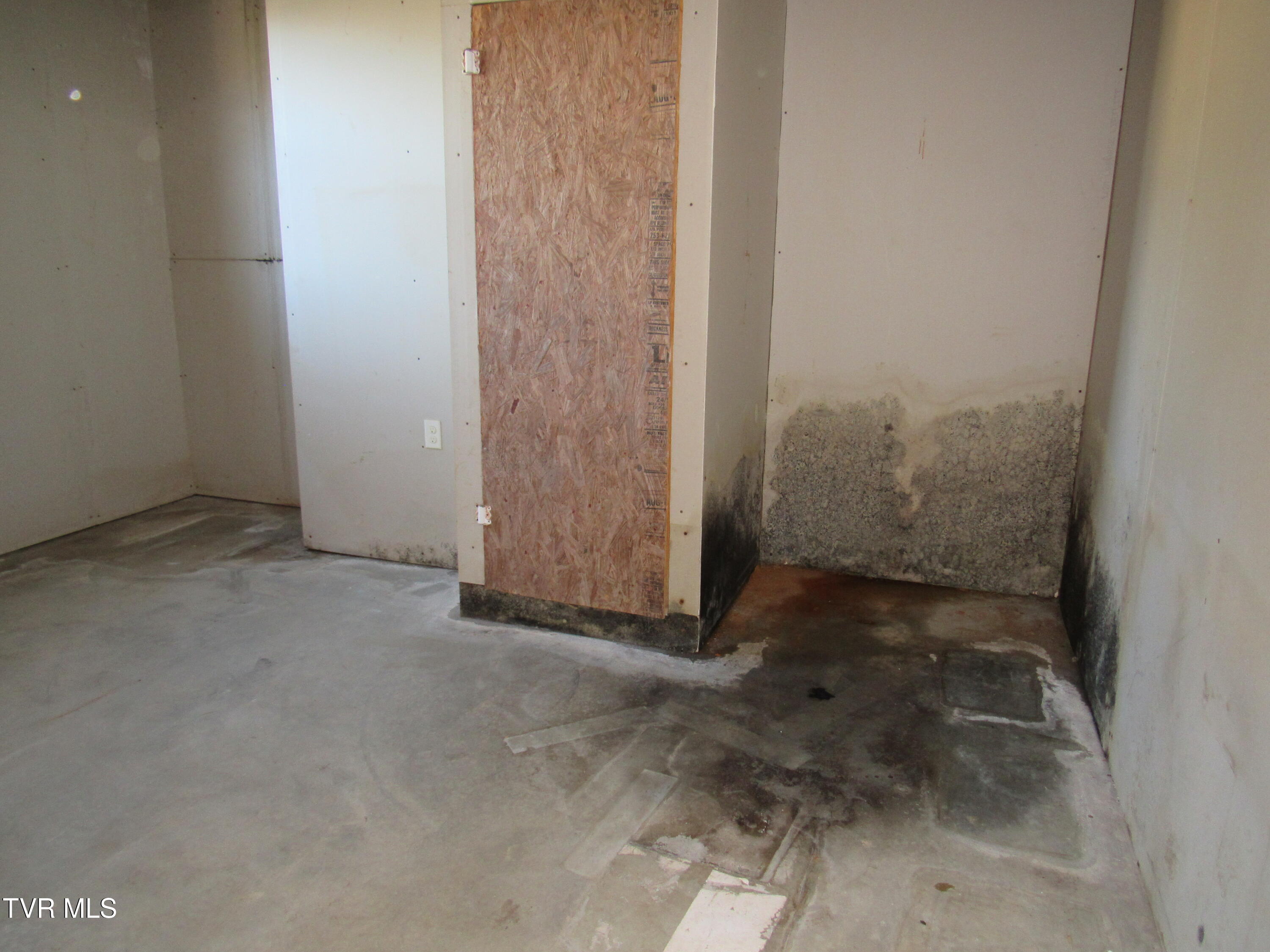 173 Price Road Johnson City, TN 37604 - Photo 37 of 43 IMG_5311