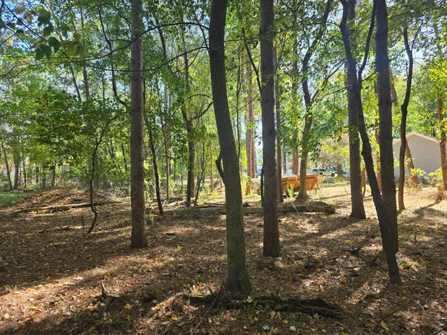 $15,000 | 0 V/l Essex Street, St. Louis, MI 48880