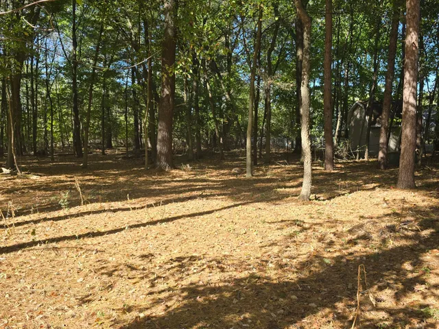 $15,000 | 0 V/l Essex Street, St. Louis, MI 48880