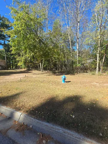 $15,000 | 0 V/l Essex Street, St. Louis, MI 48880