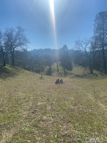 $1,099,000 | 1575 Parkhill Road, Santa Margarita, CA 93453