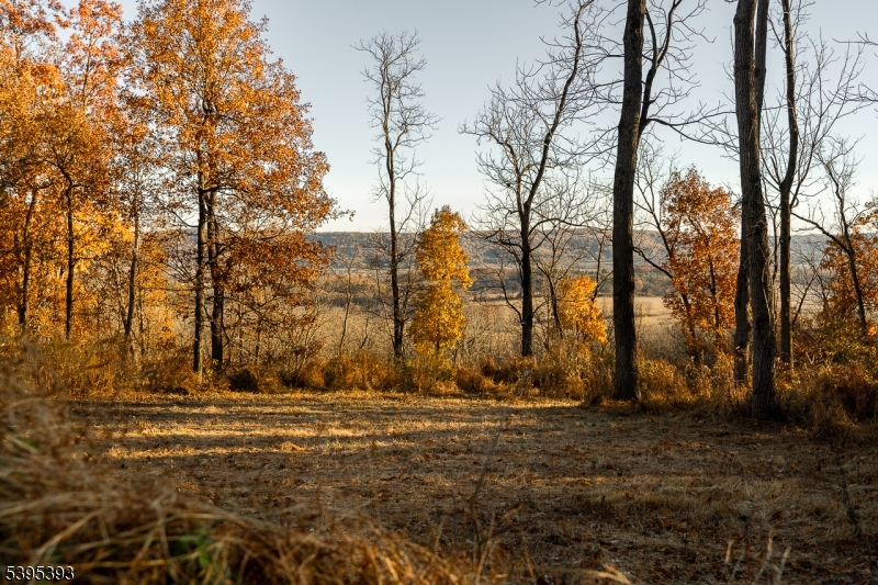 0 Asbury Broadway Road Asbury, NJ 08802 - Photo 12 of 25 a view of house with trees