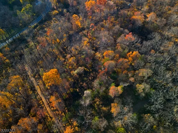 an aerial view of forest