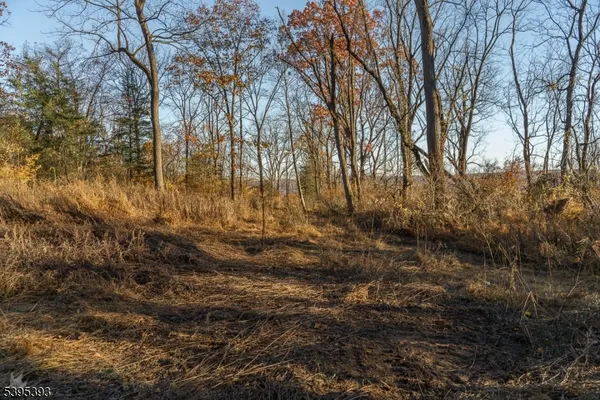 a view of lake with mountain