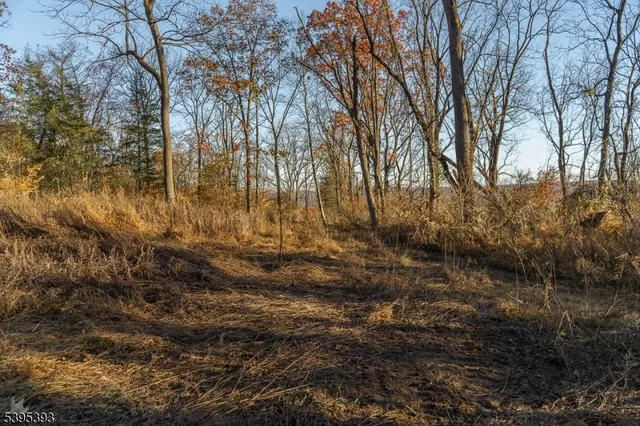 $350,000 | 0 Asbury Broadway Road, Asbury, NJ 08802