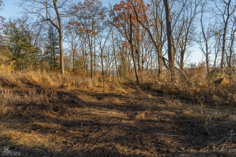 0 Asbury Broadway Road Asbury, NJ 08802 - Photo 15 of 25 a view of yard with trees