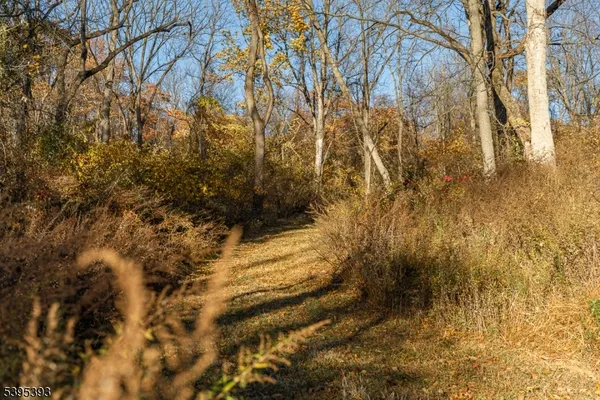 a view of a yard with trees in the background