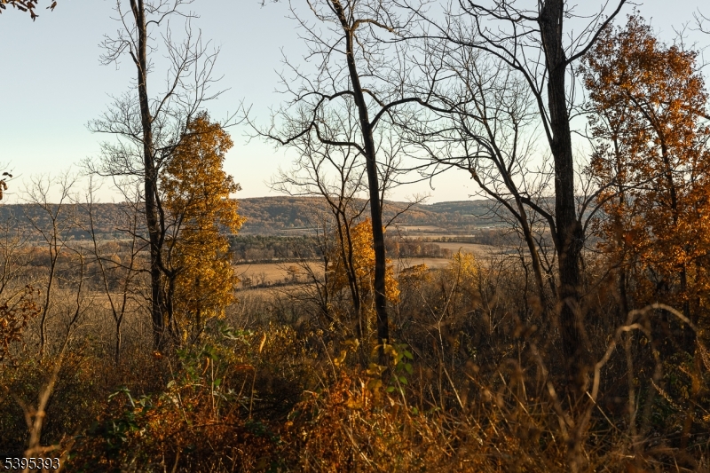 0 Asbury Broadway Road Asbury, NJ 08802 - Photo 4 of 25