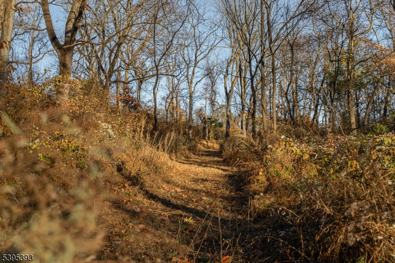 0 Asbury Broadway Road Asbury, NJ 08802 - Photo 5 of 25 a view of a yard