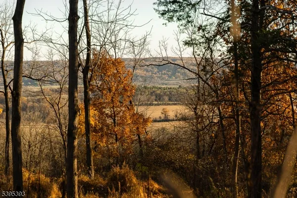 a view of house with trees