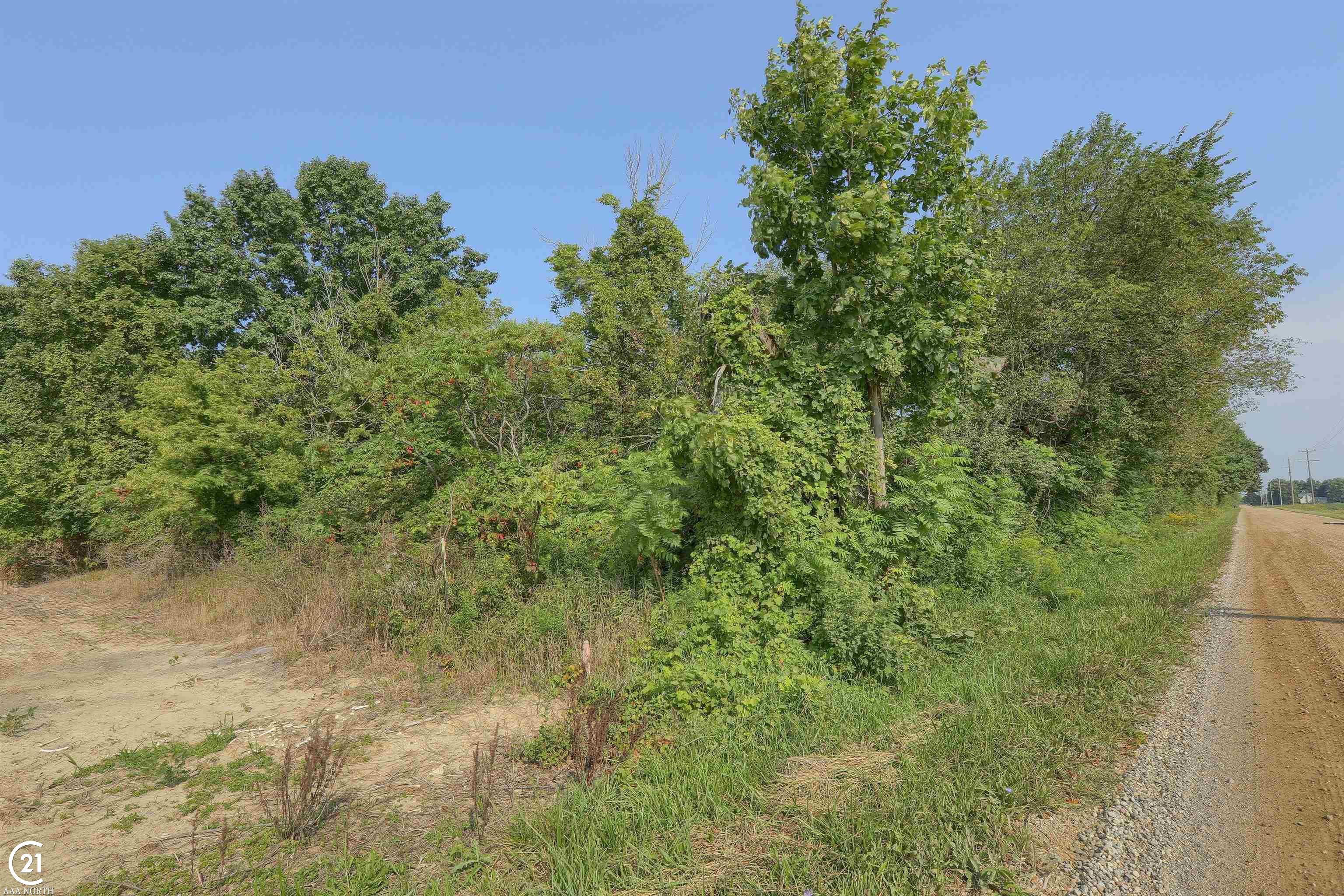 471-475 North Youngs Road Attica, MI 48412 - Photo 6 of 44 Gallery Image 6