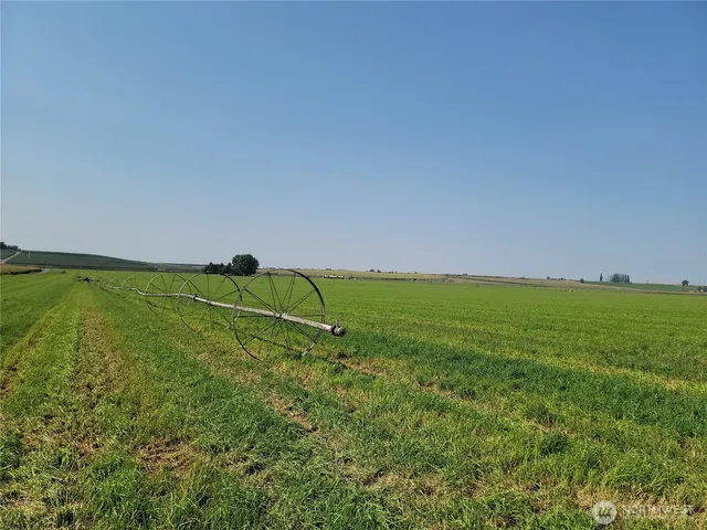 a view of a field with an trees