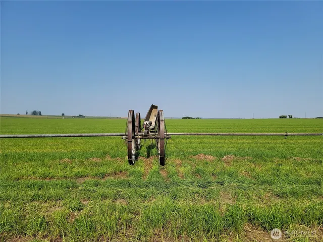 a view of a yard with an ocean