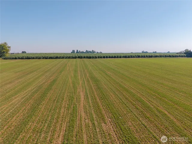 a view of a field with an ocean