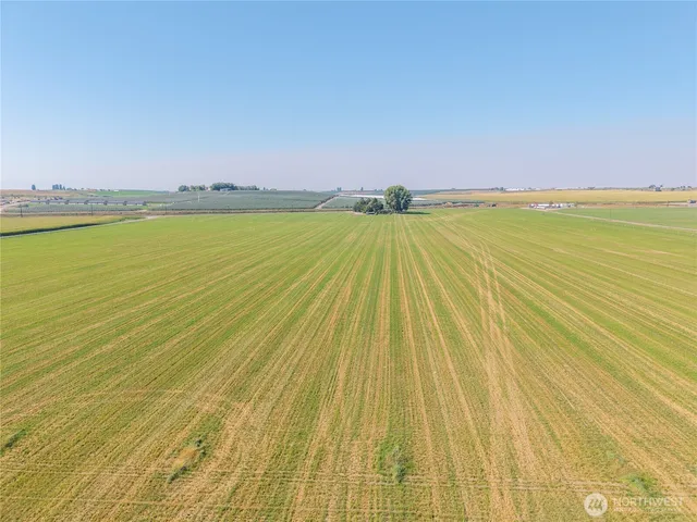 a view of a green field with lots of bushes