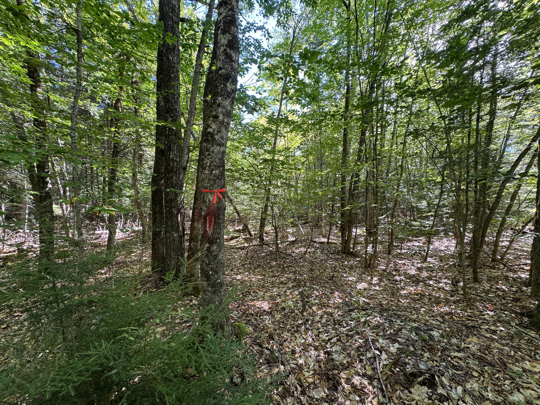 430 Townhouse Road Sangerville, ME 04479 - Photo 28 of 39 IMG_8725