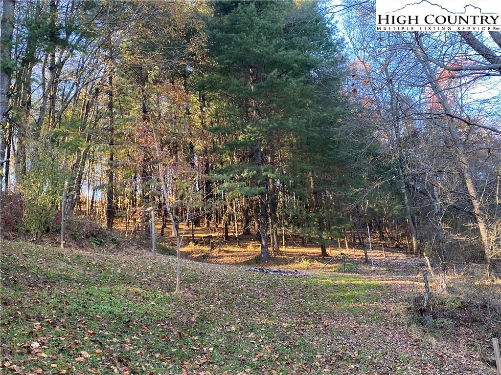 1794 Dewitt Road Sparta, NC 28675 - Photo 42 of 48 Gallery Image 42